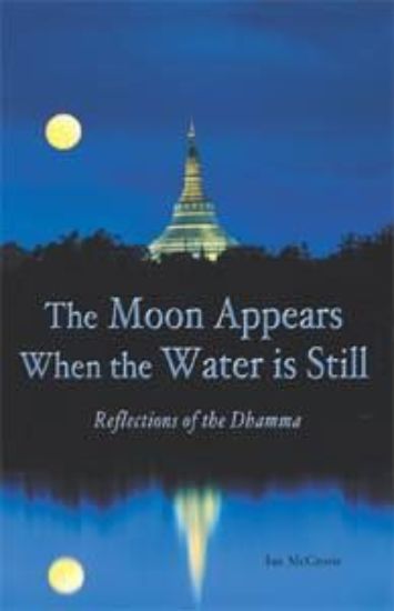 Picture of The Moon Appears When the Water is Still
